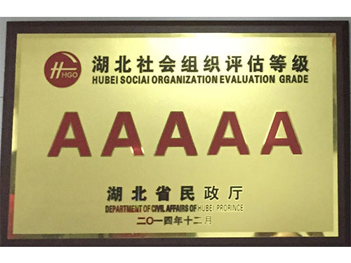5A级社会组织