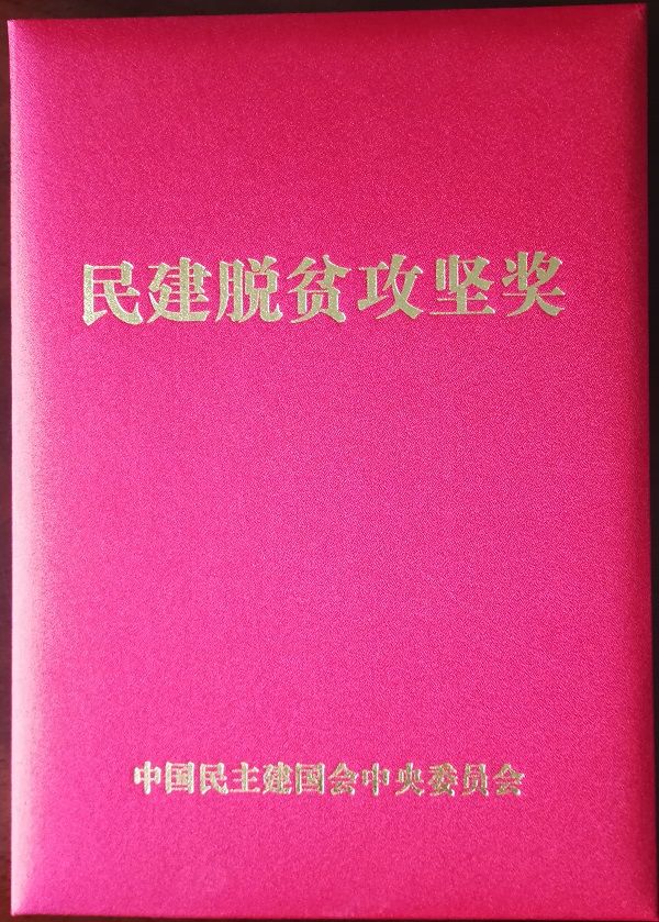 董玉霞理事长荣获“民建脱贫攻坚奖先进个人”